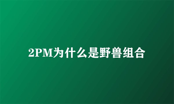 2PM为什么是野兽组合
