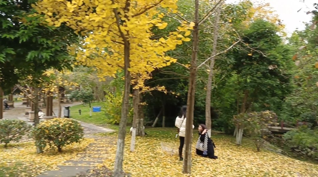 四川旅游学院怎么样