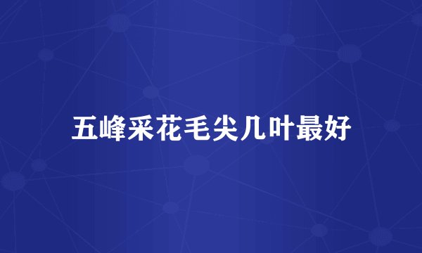 五峰采花毛尖几叶最好