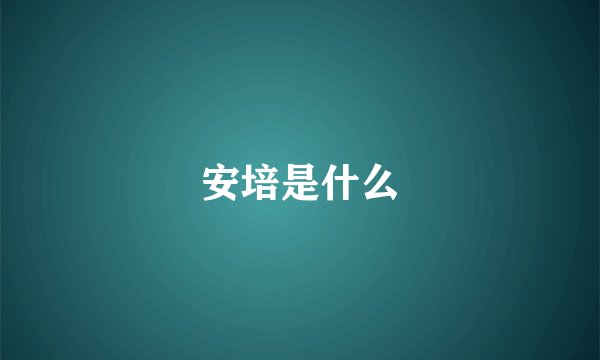 安培是什么