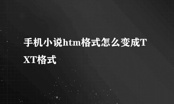 手机小说htm格式怎么变成TXT格式