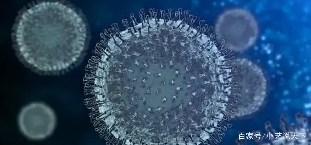 法国发现新冠新变异毒株IHU，这种毒株有什么特点？