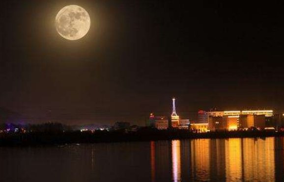 《月亮和六便士》说的是什么?