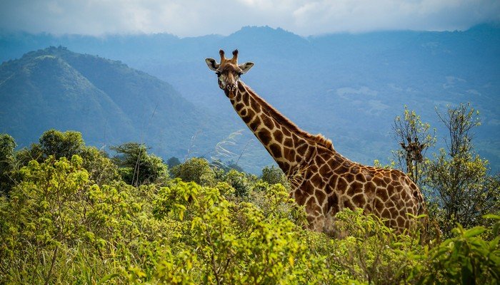 索尼摄像机如何操作摄像机功能键介绍图