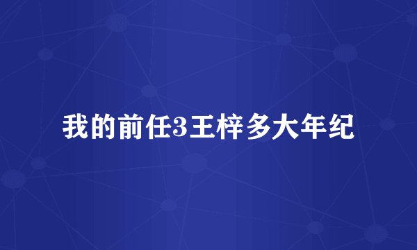 我的前任3王梓多大年纪