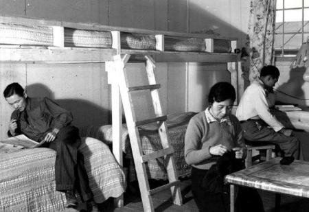 美国陆军442团,二战中为何只能在欧洲战场作战?