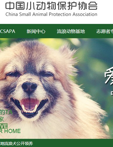 北京有没有宠物领养中心？