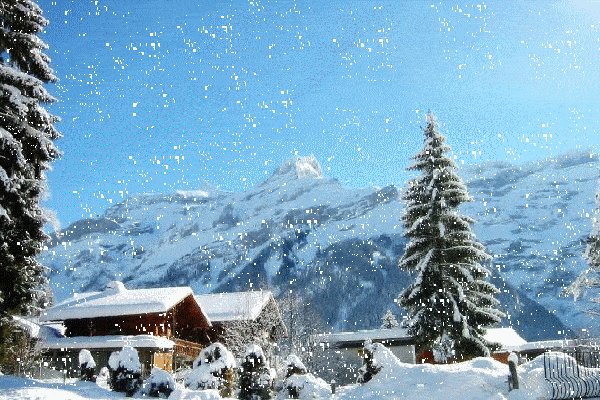 东北大哥卖雪给南方人,如何看待东北第一场雪催生的“雪经济”?