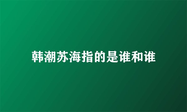 韩潮苏海指的是谁和谁