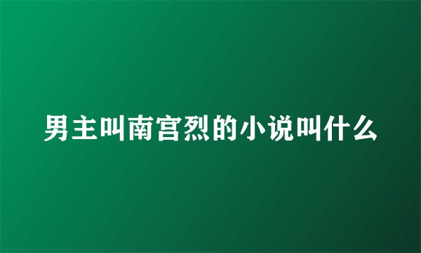 男主叫南宫烈的小说叫什么