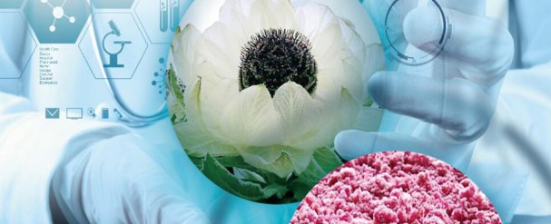 药流后多少天可以出门?