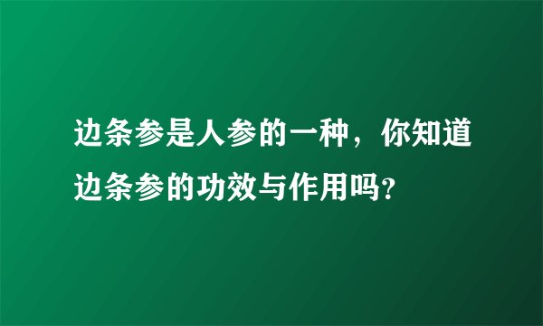 边条参是人参的一种，你知道边条参的功效与作用吗？