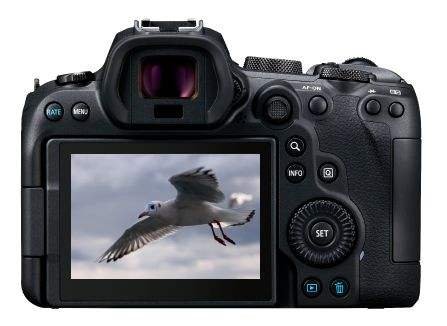 男生最想收到的礼物有哪些呢？