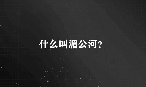 什么叫湄公河？
