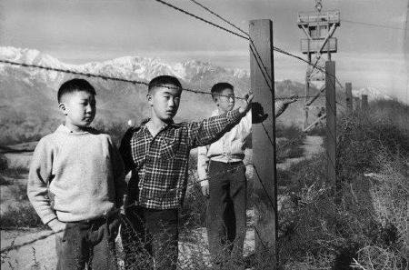 美国陆军442团,二战中为何只能在欧洲战场作战?