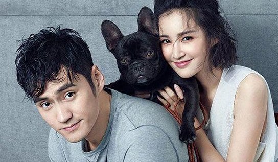 张歆艺为什么要和杨树鹏离婚?