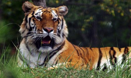 西宁好玩的地方有哪些?