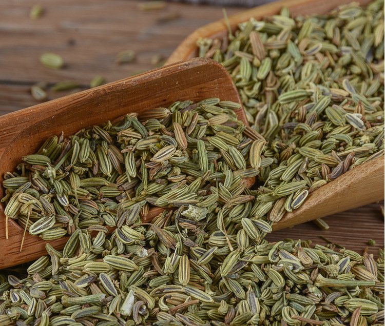 小茴香的作用？