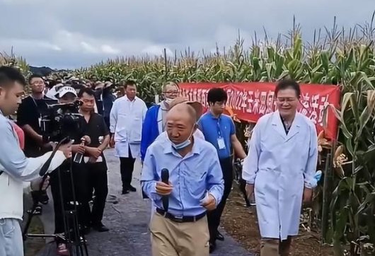 专家脚踩“地毯”观摩玉米地,承办方回应,事情的真相是什么?