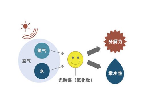 新装修的房子里放什么植物最好？
