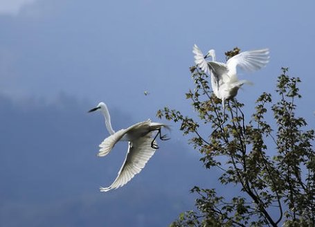 盘的组词有哪些