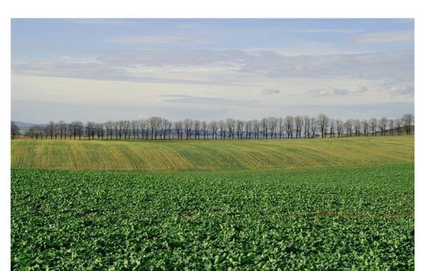 一英亩是多少亩？