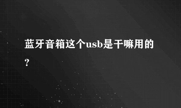 蓝牙音箱这个usb是干嘛用的？