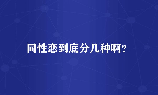 同性恋到底分几种啊？