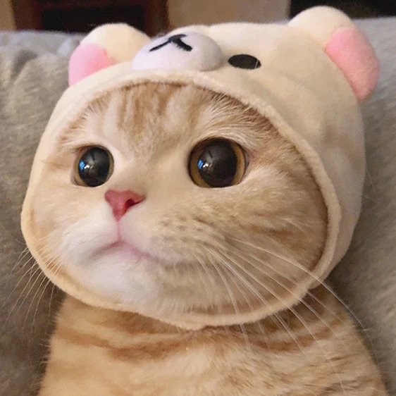 烟台滨海投资日租房是传销吗？