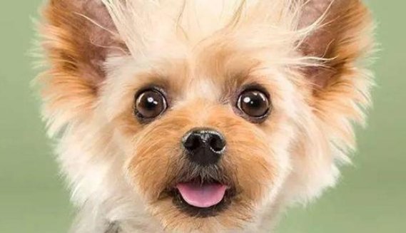 用大吃一惊,造句