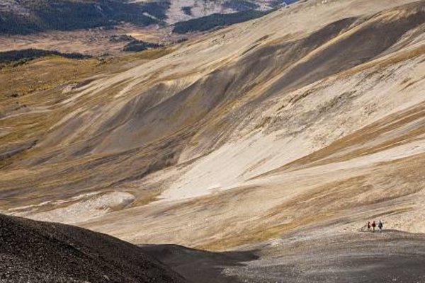 荒怎么读，荒的组词，荒的读音，荒的笔顺，荒的意思