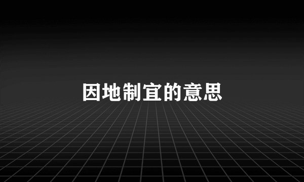 因地制宜的意思