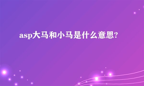 asp大马和小马是什么意思?