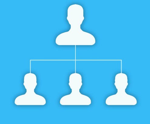 什么是Organization