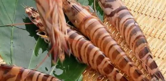 深圳的美食有哪些？