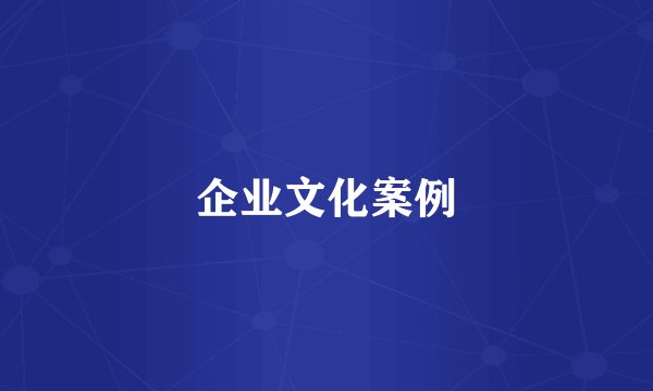 企业文化案例