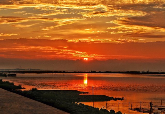 上海可以到海边玩的地方有哪些？