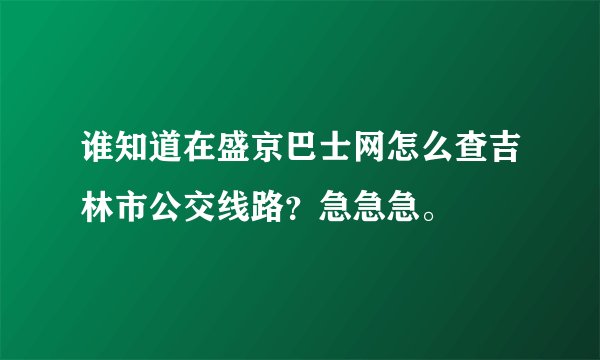 谁知道在盛京巴士网怎么查吉林市公交线路？急急急。
