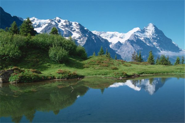 “气溶胶是”什么？