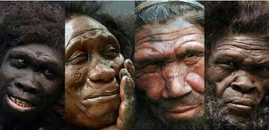 中国人究竟起源于哪里?