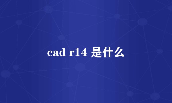 cad r14 是什么