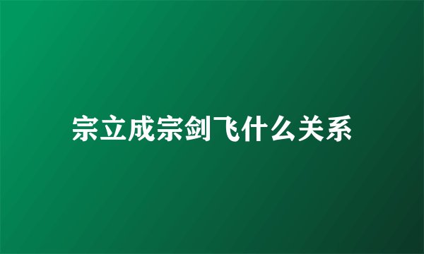 宗立成宗剑飞什么关系