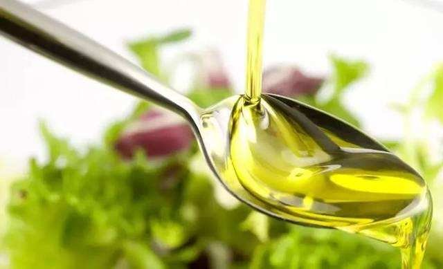 什么是植物脂肪?