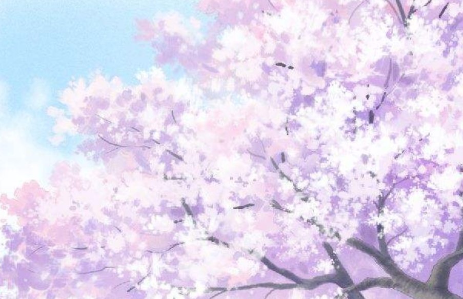 雨樱花是什么意思？代表什么？