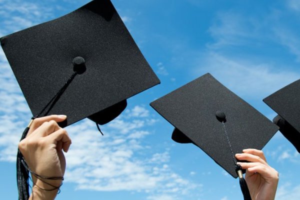 什么是主修课、专业课、选修课?