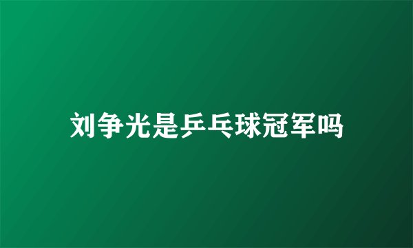 刘争光是乒乓球冠军吗