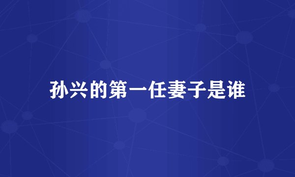 孙兴的第一任妻子是谁