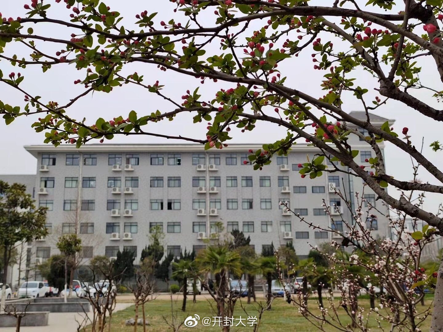 开封大学好不好，宿舍怎么样？