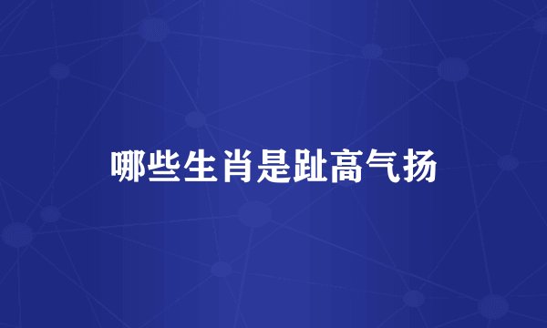 哪些生肖是趾高气扬