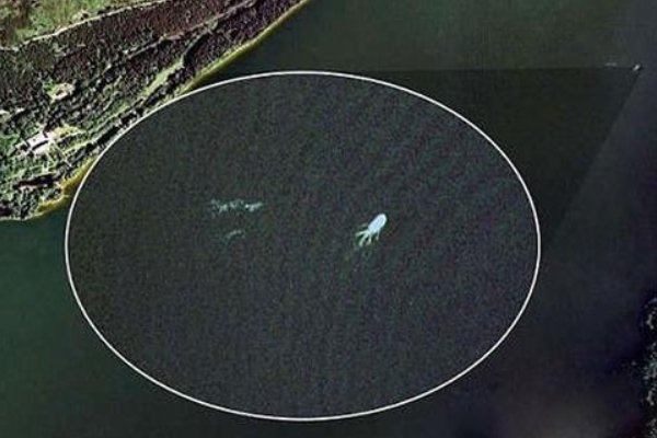 10大最吓人的水怪